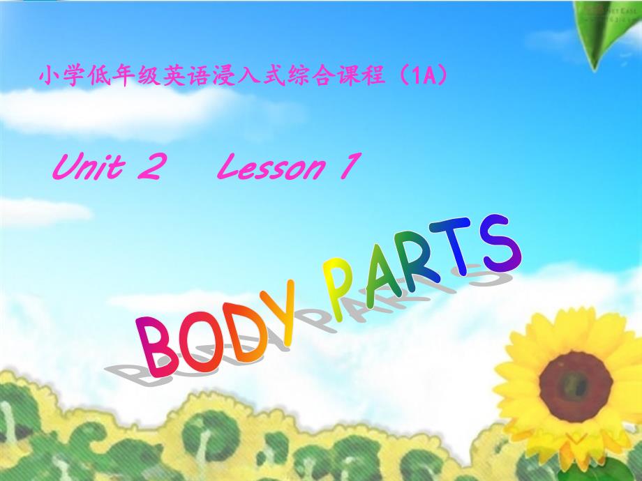 bodyparts课件_第1页