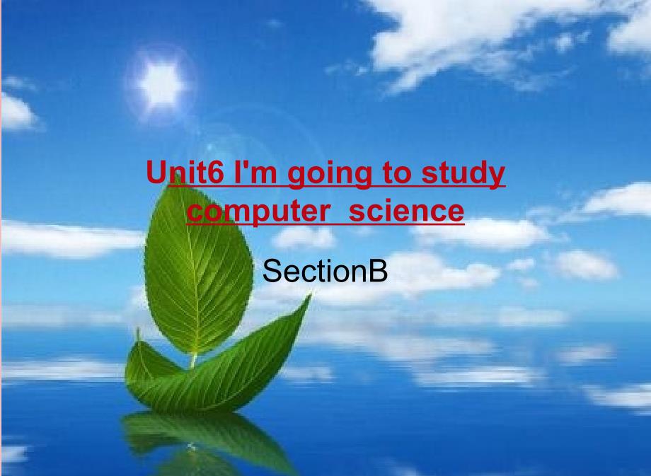 Unit6I’mgoingtostudycomputerscienceSectionB_第1页