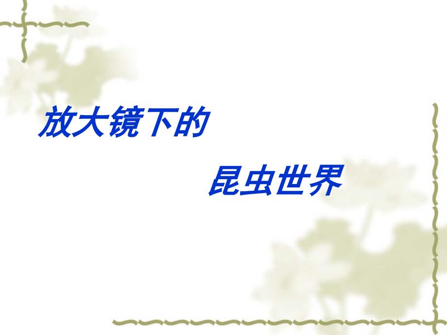 教科版小学科学六年级下册第一单元《放大镜下的昆虫世界》课件_第1页