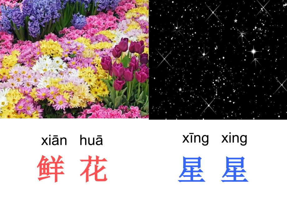 教育专题：鲜花和星星第一课时_第1页