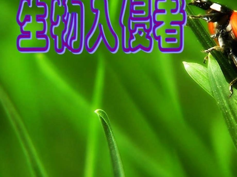 八上第四单元《生物入侵者》_第1页