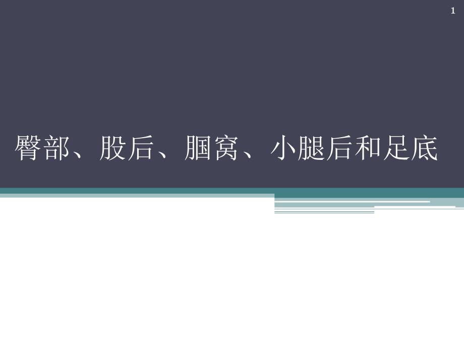 医用局部解剖学-臀部,股后区,腘窝,小腿后区及足底【优质PPT】_第1页