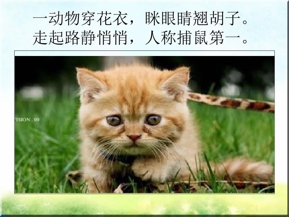 ppt_顾凤萍《猫和老鼠》_第1页