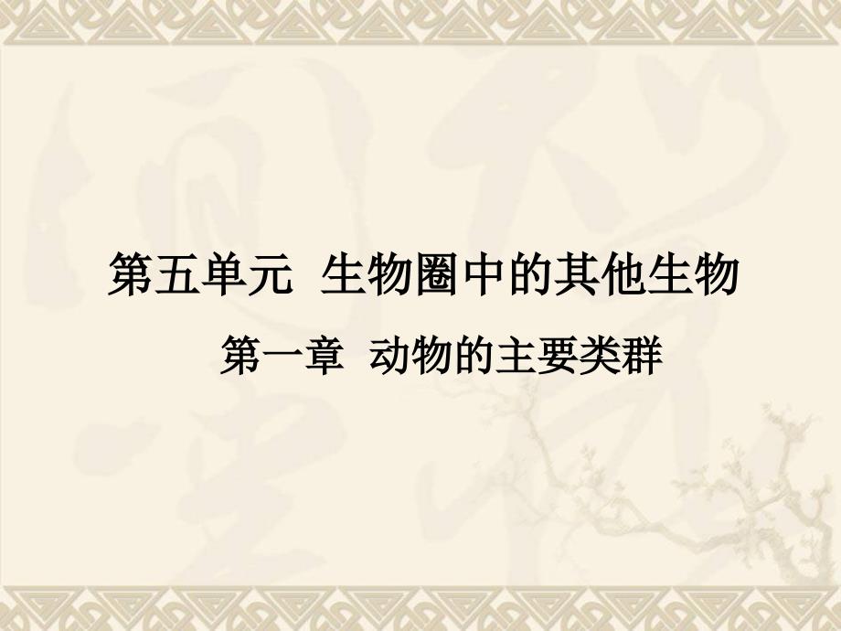 中考生物复习课件第五单元-第一章动物的主要类群(教育精_第1页