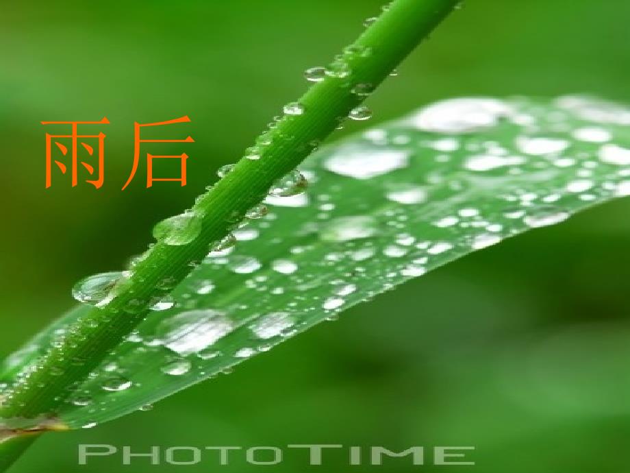 9.雨后课件_461614_第1页