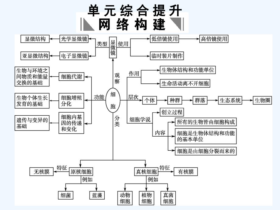 高考生物《走进细胞》单元综合提升课件 新人教版_第1页