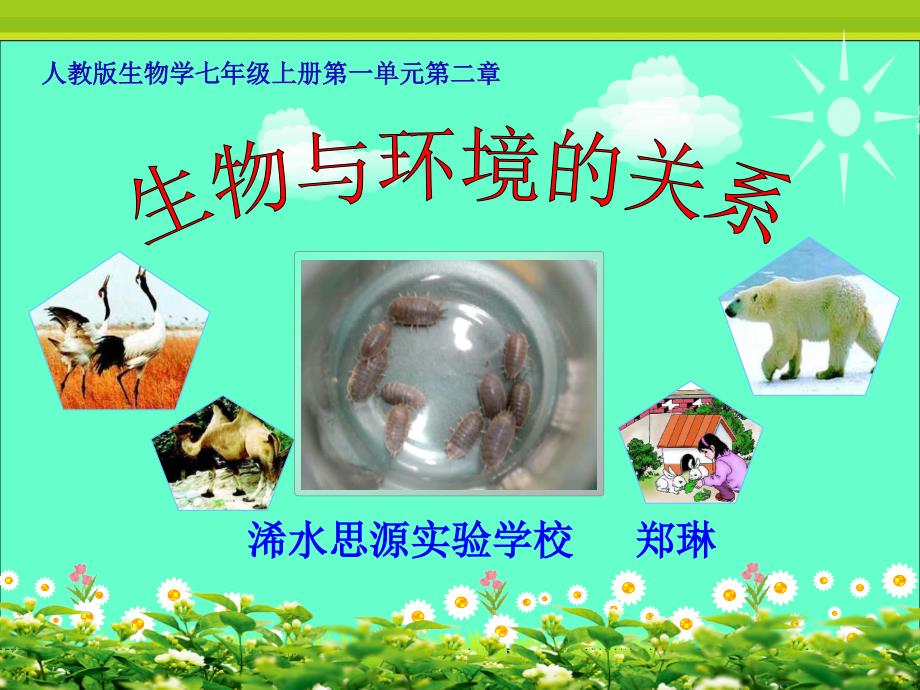 “环境对生物的影响”的生物课件郑琳_第1页