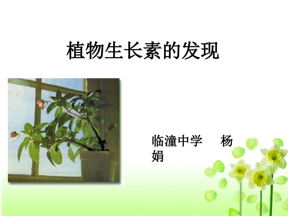 3-3-1_植物生长素的发现杨娟_第1页