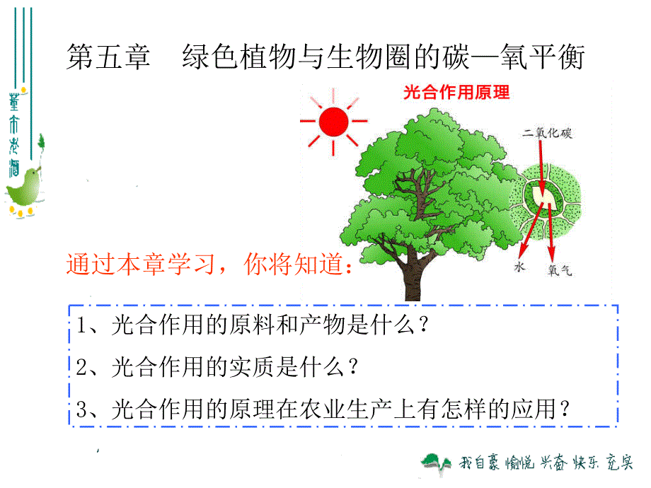 最新人教版351光合作用吸收二氧化碳释放氧气_第1页