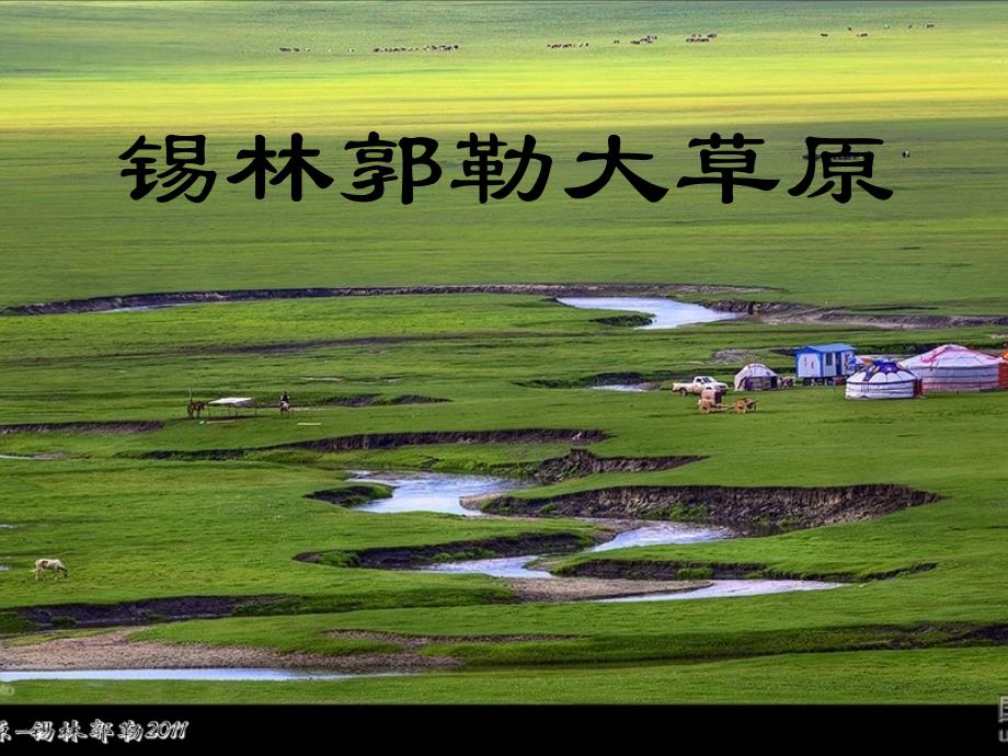 锡林郭勒大草原-课件_第1页