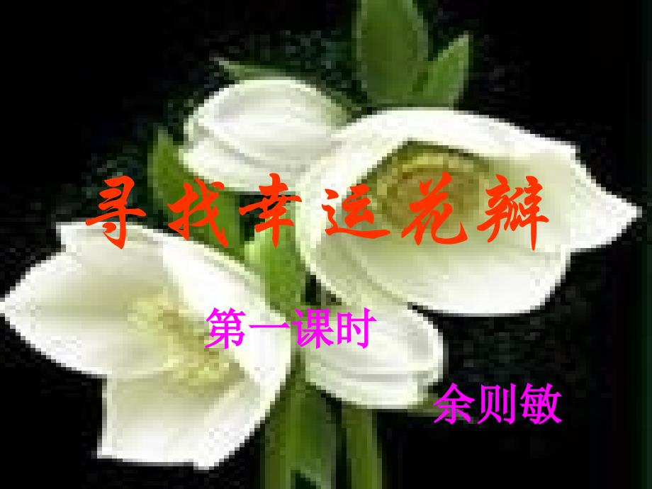 《尋找幸運(yùn)花瓣》課件 (2)_第1頁(yè)