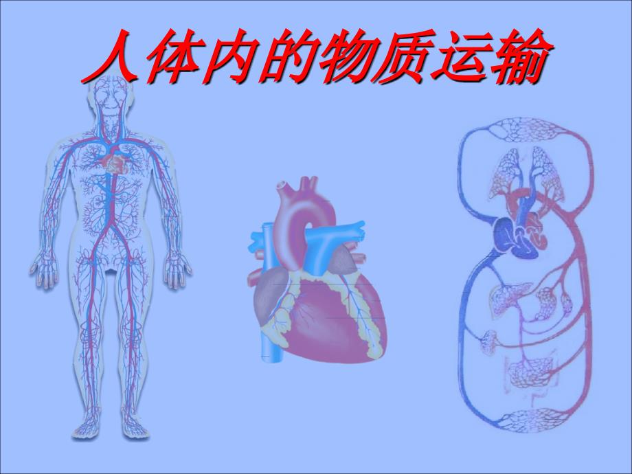 《人体内物质的运输》复习课件（教育精品）_第1页