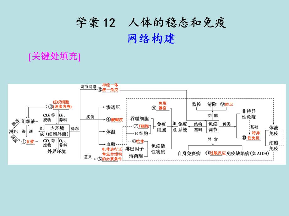 第一部分专题五学案12_第1页