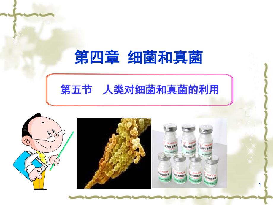 第五节人类对细菌和真菌的利用_第1页