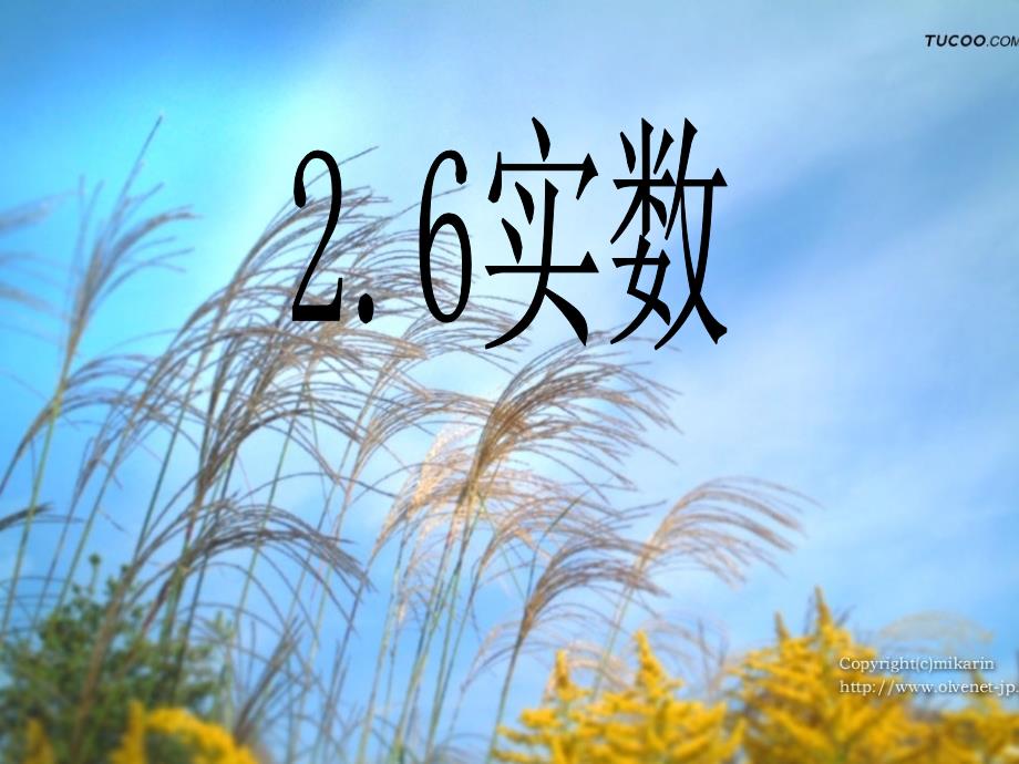 北师大版八年级实数课件_第1页