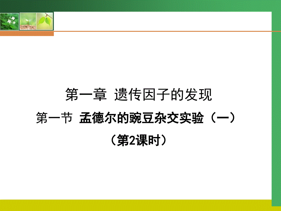 孟德尔豌豆杂交实验_第1页