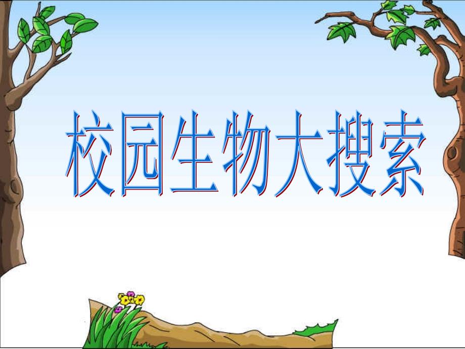 《校园生物大搜索》教学课件_第1页