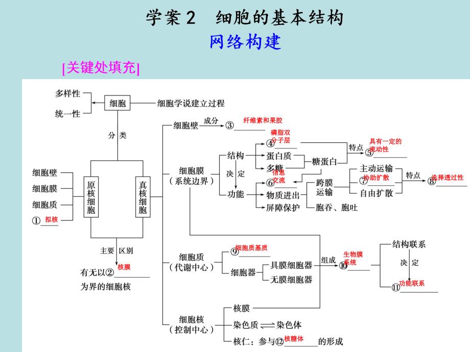 生物专题一学案2_第1页