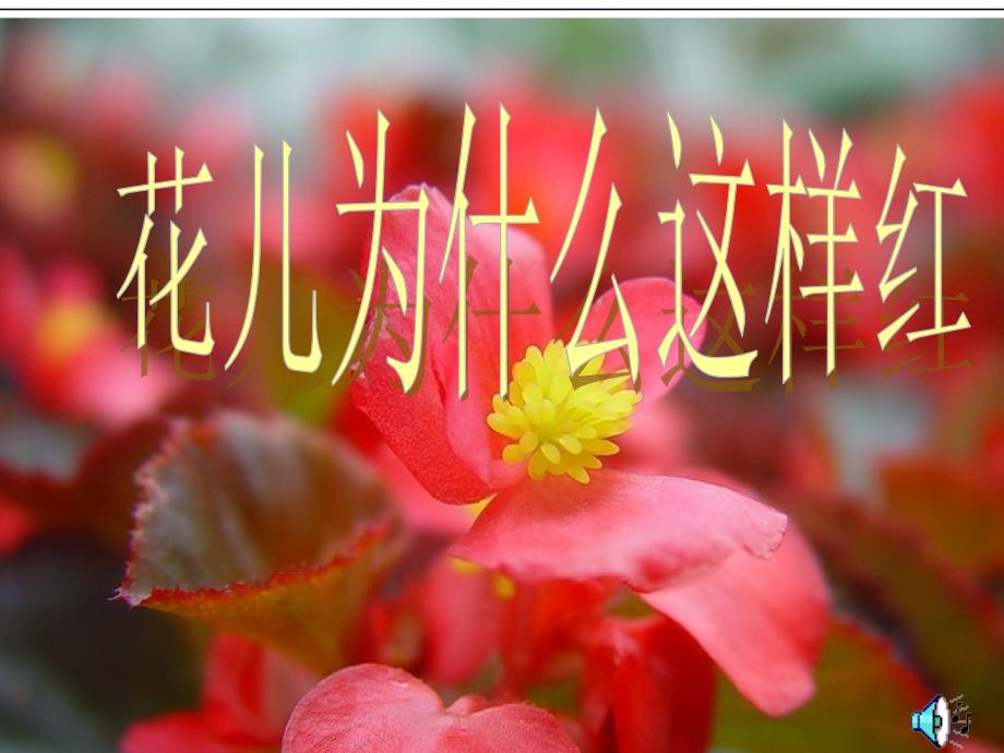 修改《花兒為什么這樣紅》課件10_第1頁