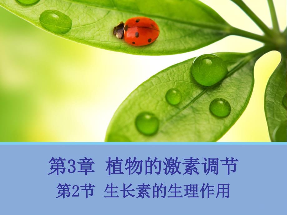 【生物】32生长素的生理作用课件1（人教版必修3）（教育精品）_第1页