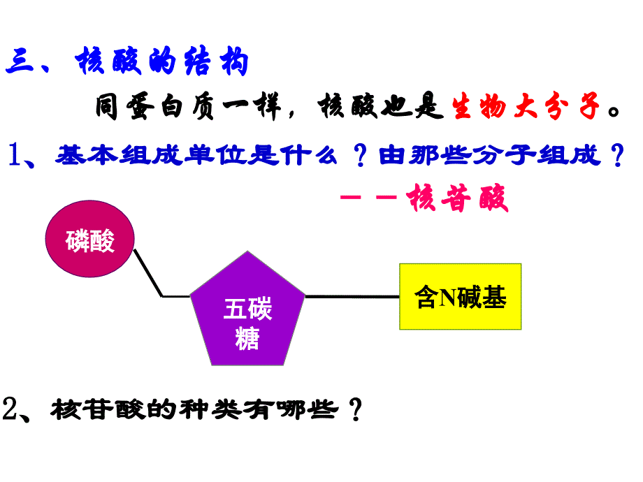 第二章第3节核酸2_第1页