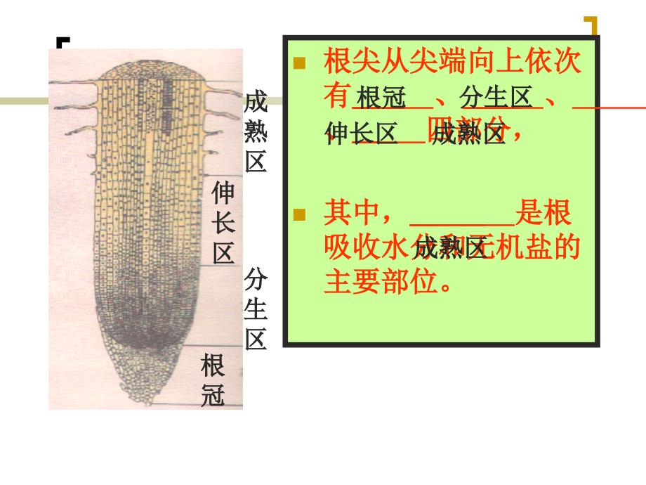 植物生长需要水和无机盐_第1页