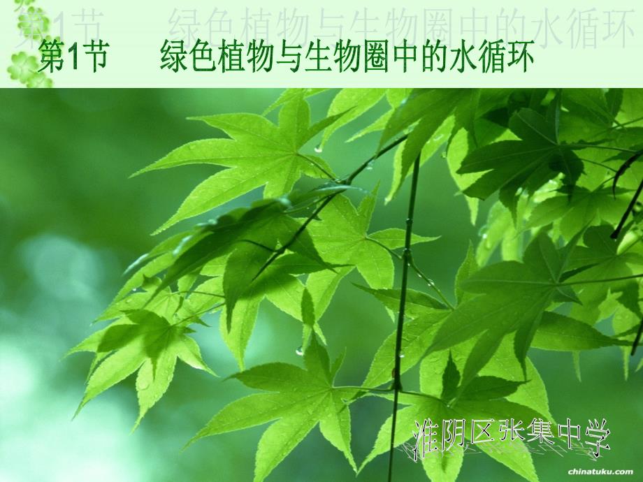 第十七章第一节绿色植物与生物圈中的水循环（教育精品）_第1页