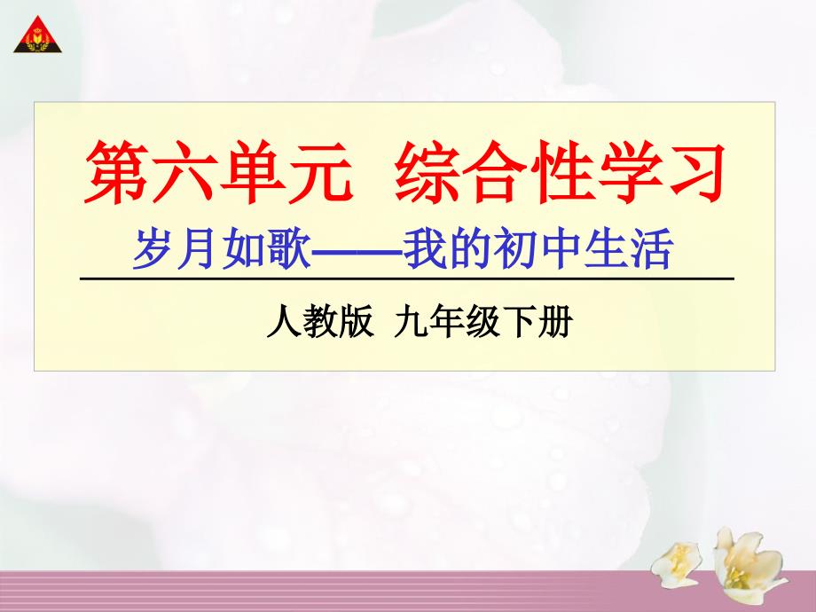 综合性学习《岁月如歌——我的初中生活》（教育精品）_第1页