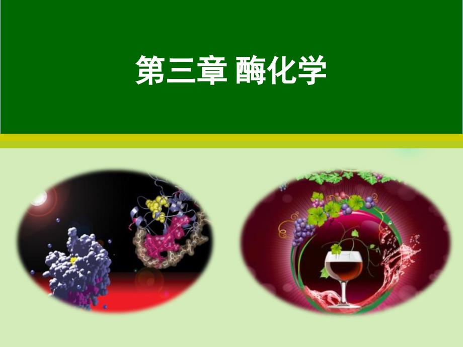 《生物化学教程》第三章酶化学解析课件_第1页