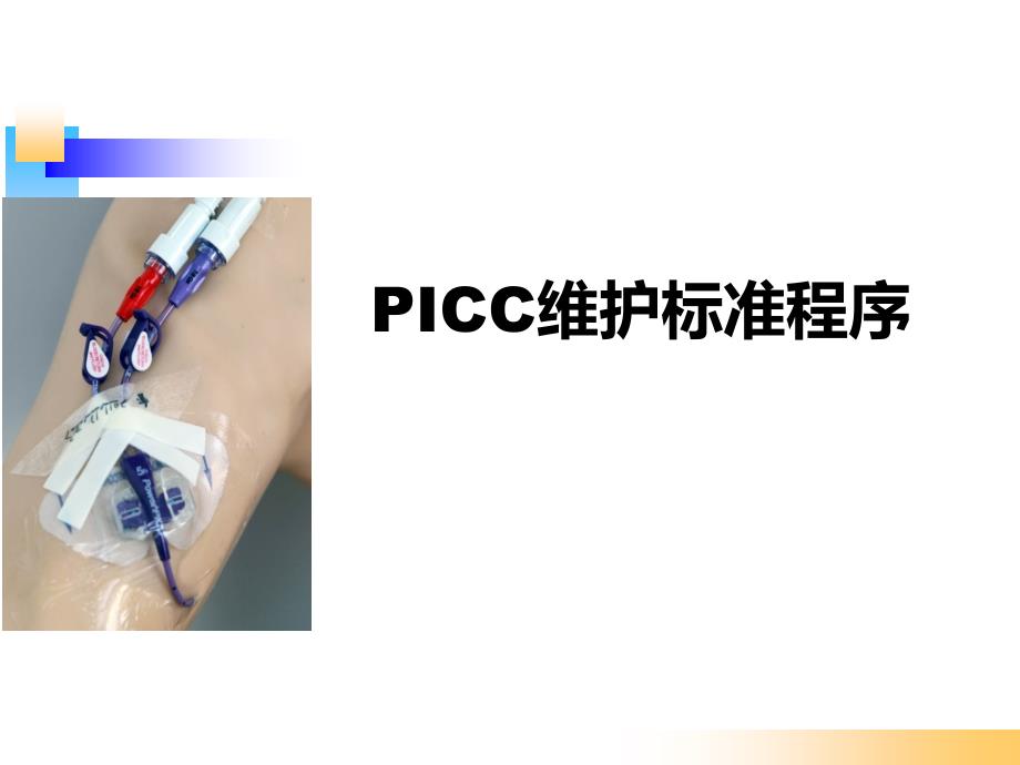 PICC标准维护流程课件_第1页