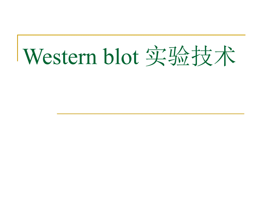 Western-blot-技术-详细版课件_第1页