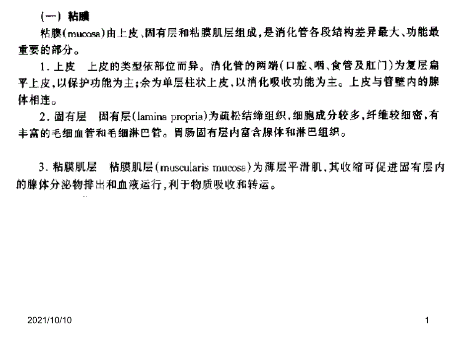 粘膜分層以及關(guān)于早癌的幾個概念_第1頁