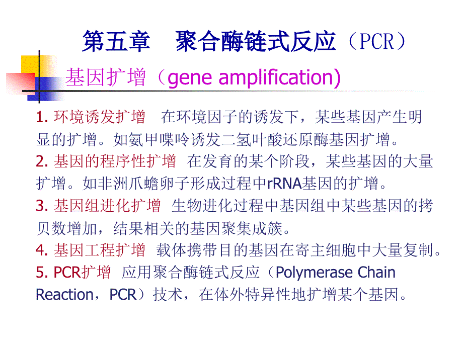 基因工程PCR课件_第1页