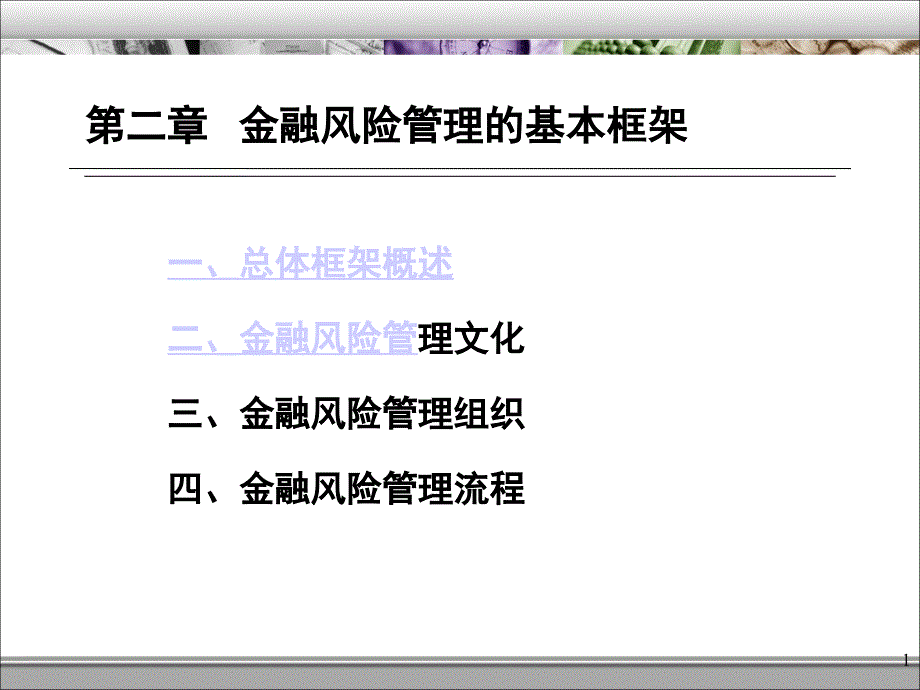 NO2金融风险管理的基本框架_第1页