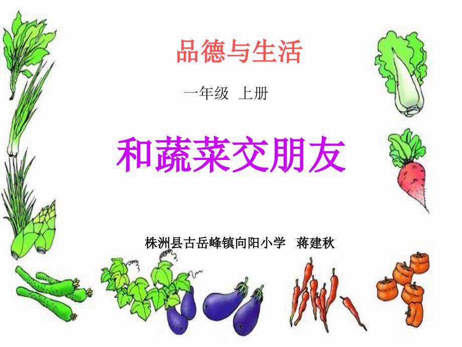 和蔬菜交朋友（教育精品）_第1页