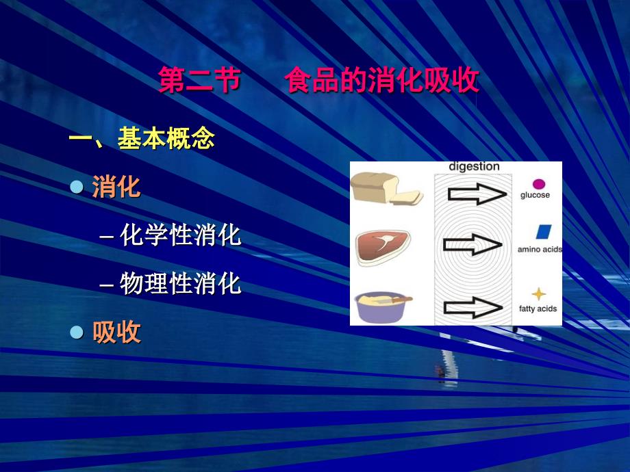 大学食品营养学第二节食品的消化吸收_第1页