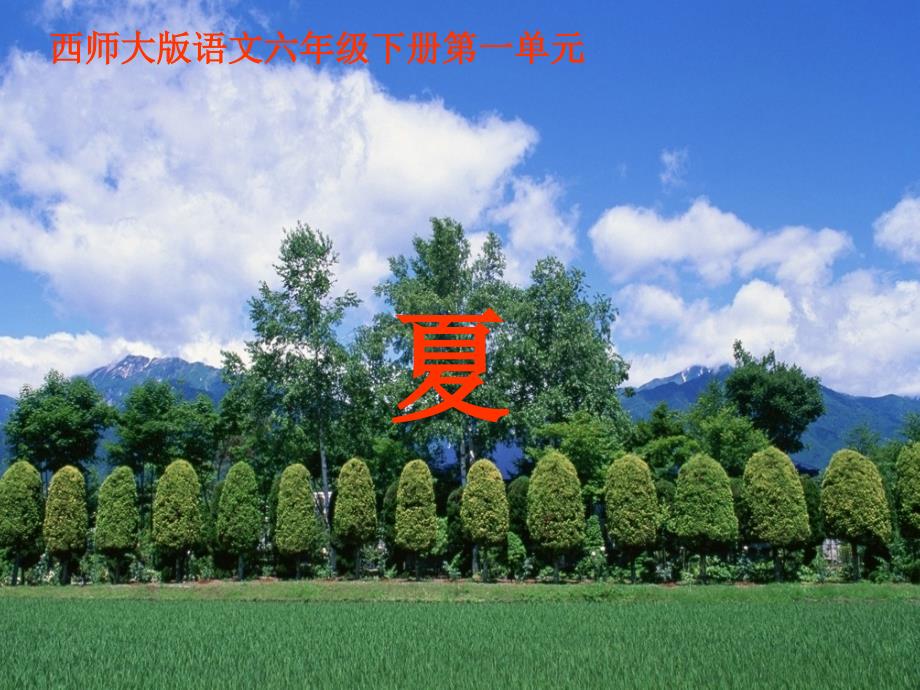 1《夏》（教育精品）_第1页