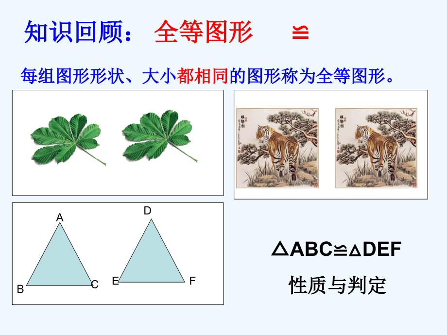 图形相似（教育精品）_第1页