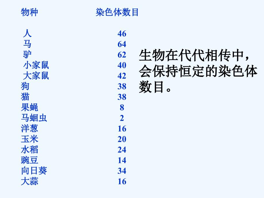 探究减数的基本过程（教育精品）_第1页