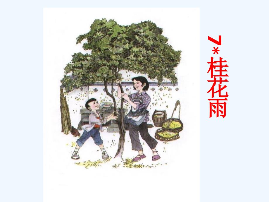 《桂花雨》 (2)（教育精品）_第1页