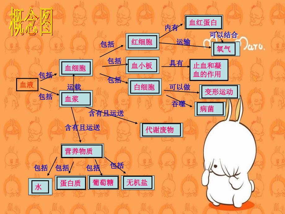 基础医学2013血液循环_第1页