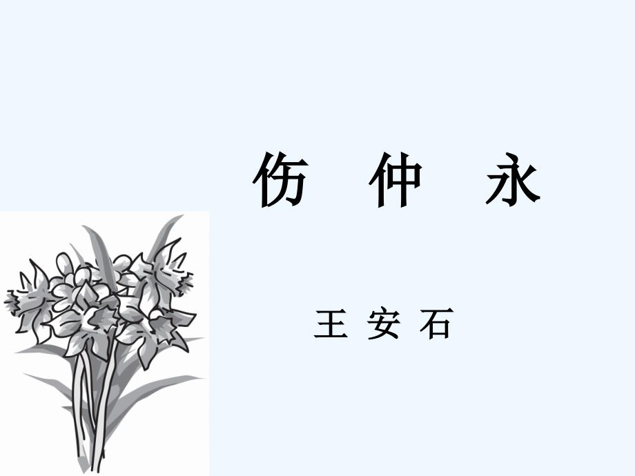 《伤仲永》公开课课件（教育精品）_第1页