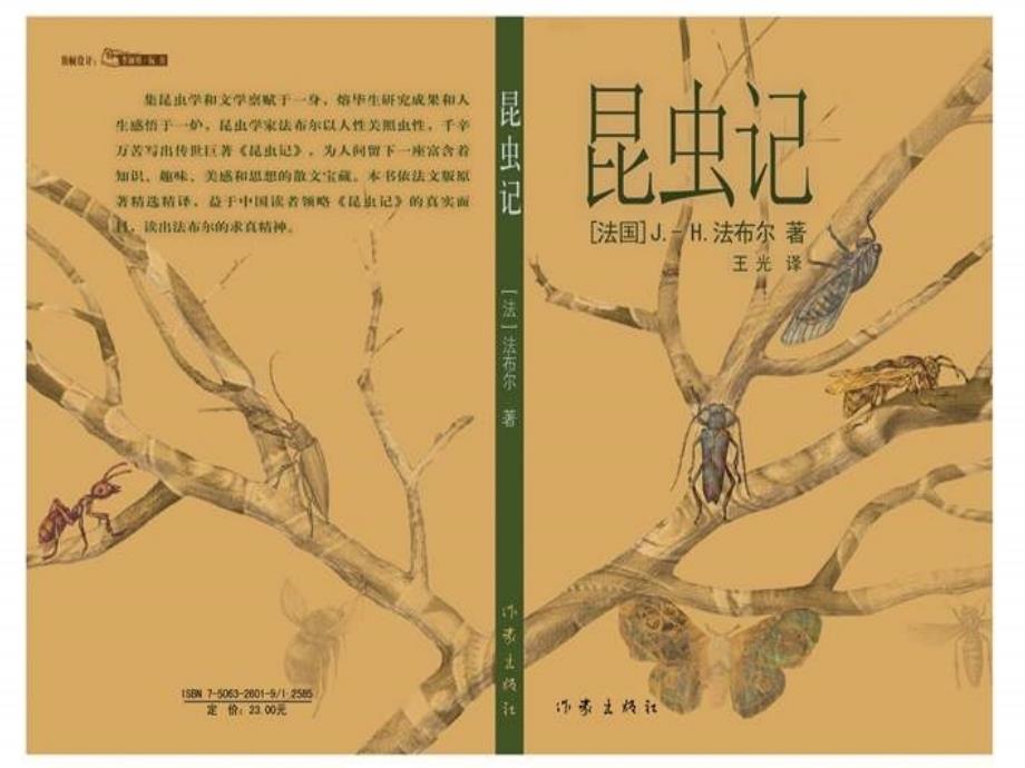 18.绿色蝈蝈课件（教育精品）_第1页