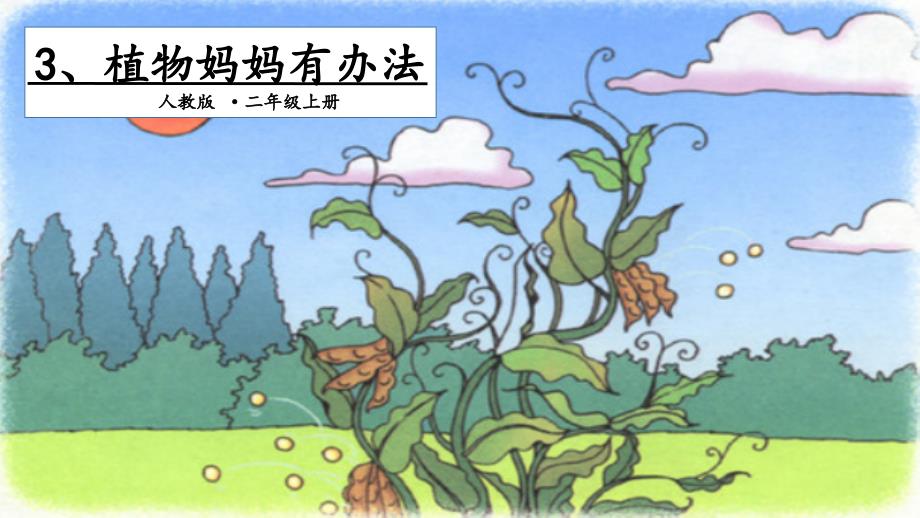 3、植物妈妈有办法（教育精品）_第1页