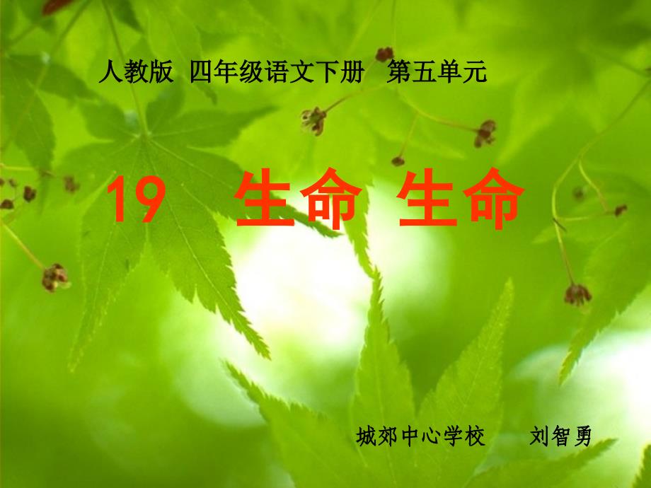 人教版四年级语文下册《生命生命》参赛课件（教育精品）_第1页