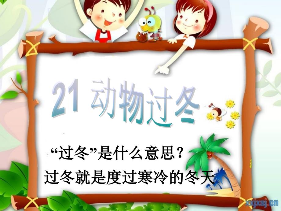 《动物过冬》PPT（教育精品）_第1页