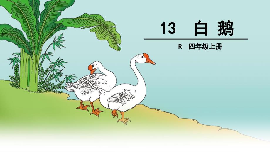 13白鹅（教育精品）_第1页