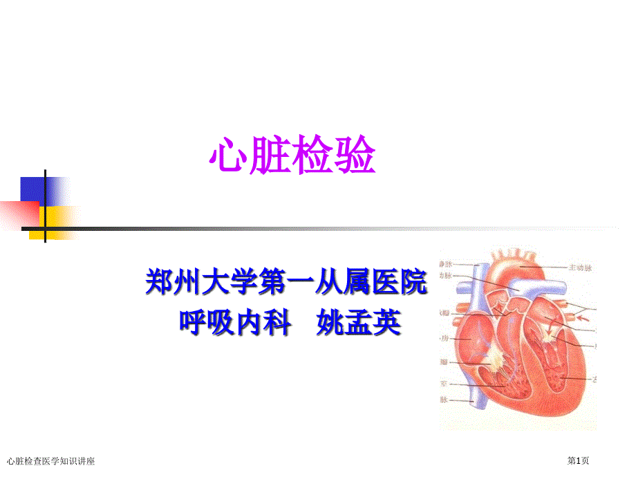 心脏检查医学知识讲座专家讲座_第1页