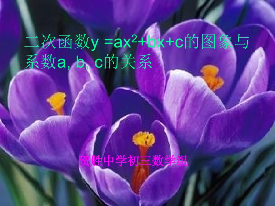 二次函数y=ax2+bx+c的图象与系数的关系（教育精品）_第1页