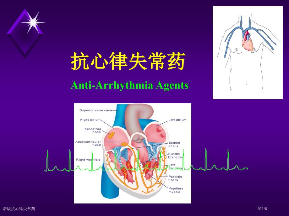 新版抗心律失常药专家讲座_第1页